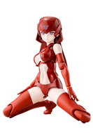 B1R-L CHASSIS KIT SKIN COLOR C 2