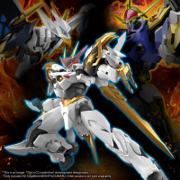 HG Amplified IMGN RYUOUMARU 9