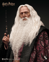 INART - Harry Potter and the Chamber of Secrets - Albus Dumbledore 1/6 Collectible Figure Premium Version 11