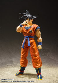 Son Goku -A Saiyan Raised On Earth- Dragon Ball Z, TAMASHII NATIONS S.H.Figuarts 8
