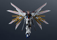 ZGMF/A-262PD-P MIGHTY STRIKE FREEDOM GUNDAM "GUNDAM" 6