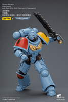 Space Wolves Intercessor with Bolt Rifle, Bolt Pistol and Chainsword 23