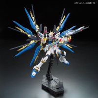 RG 1/144 #14 ZGMF-X20A STRIKE FREEDOM GUNDAM 10