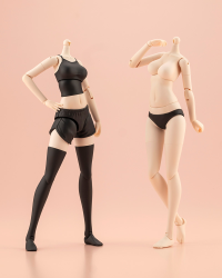 DRESS UP BODY[M] COLOR C Ver. 1