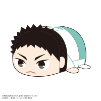 Haikyu!! POTE KORO MASCOT (6pc per box) 7