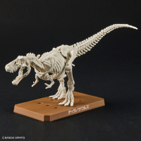 PLANNOSAURUS Tyrannosaurus 8