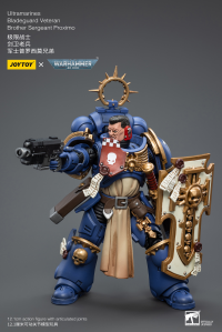 Ultramarines Bladeguard VeteranBrother Sergeant Proximo 8