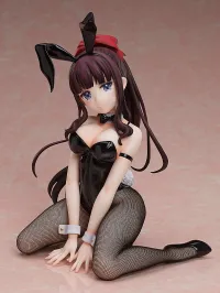 FREEing Hifumi Takimoto: Bunny Ver. - NEW GAME!! - photo 1