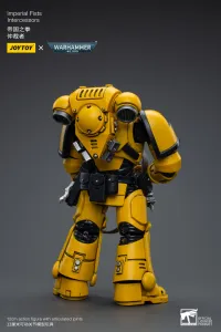 JOYTOY Imperial Fists Intercessors - Warhammer 40K - photo 9