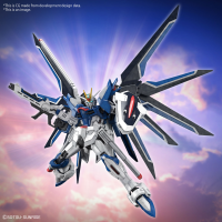 HG 1/144 RISING FREEDOM GUNDAM 10
