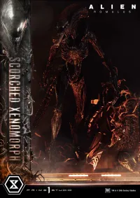 Prime 1 Studio Museum Masterline XL Alien: Romulus Scorched Xenomorph - Alien (Movie Franchise) - photo 2