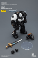 Raven Guard Terminator 1 with Power Sword and Storm Bolter 6