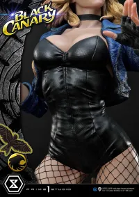 Prime 1 Studio Museum Masterline DC Comics Black Canary - DC Comics - photo 3