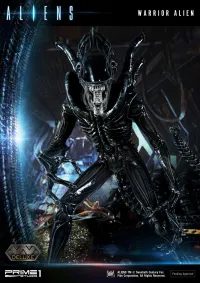 Prime 1 Studio Premium Masterline Aliens (Comics) Warrior Alien DX Bonus Version - Alien (Movie Franchise) - photo 80
