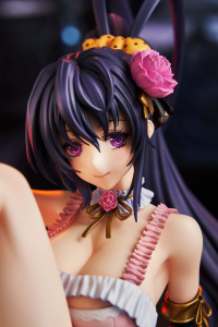 High School DxD Akeno Himejima: Light Novel 15th Anniversary ver. 3