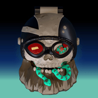 ROVER ROBIN Overtakes Skull Rider 4