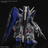 MGSD FREEDOM GUNDAM 10