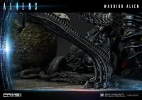 Prime 1 Studio Premium Masterline Aliens (Comics) Warrior Alien DX Bonus Version - Alien (Movie Franchise) - photo 26
