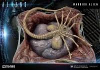 Prime 1 Studio Premium Masterline Aliens (Comics) Warrior Alien DX Bonus Version - Alien (Movie Franchise) - photo 77
