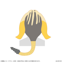 Monster Hunter Wilds Mimiphyta Alpha Cap 2