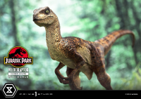 Prime Collectible Figures  Jurassic Park (Film)  Velociraptor  Closed Mouth 17
