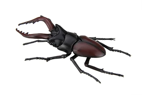 Fujimi [FI No.22]  Biology Edition Stag Beetle - Original Series