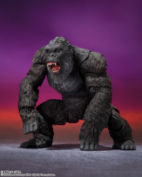 KONG FROM GODZILLA x KONG: THE NEW EMPIRE [2024], TAMASHII NATIONS S.H.MonsterArts 2