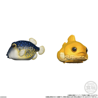 Glossy Tenori Friends - Amphibians & Sea Creatures  (Open Box/12), Bandai Shokugan Tenori Friends 3