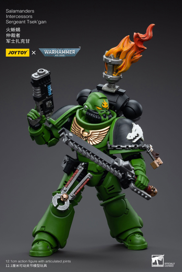 Salamanders Intercessors Sergeant Tsek'gan
