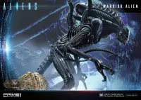 Prime 1 Studio Premium Masterline Aliens (Comics) Warrior Alien DX Bonus Version - Alien (Movie Franchise) - photo 97