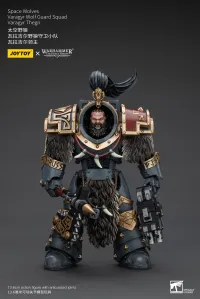 JOYTOY Space Wolves Varagyr Wolf Guard Squad Varagyr Thegn - Warhammer 40K - photo 1