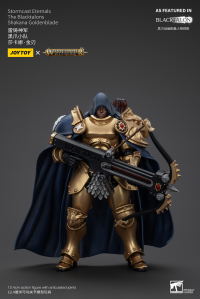 Stormcast Eternals The Blacktalons Shakana Goldenblade 4