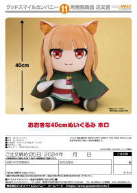 Big 40cm Plushie Holo 4