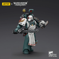 Sons of Horus Legion Apothecary 4