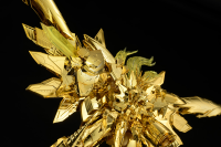 AMAKUNITECH GENESIC GAOGAIGAR THE GOLDEN DESTROYER 8