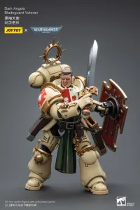 JOYTOY Dark Angels Bladeguard Veteran - Warhammer 40K - photo 3