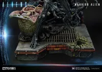 Prime 1 Studio Premium Masterline Aliens (Comics) Warrior Alien DX Bonus Version - Alien (Movie Franchise) - photo 19