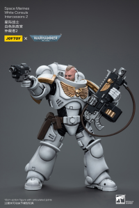 Space Marines White Consuls Intercessors 2 8