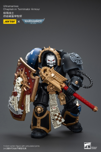 Ultramarines Chaplain in Terminator Armour 11