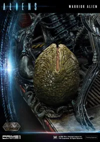 Prime 1 Studio Premium Masterline Aliens (Comics) Warrior Alien DX Bonus Version - Alien (Movie Franchise) - photo 88