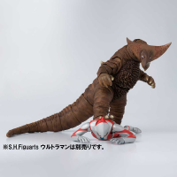 Gomora 8