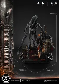 Prime 1 Studio Museum Masterline XL Alien: Romulus Scorched Xenomorph - Alien (Movie Franchise) - photo 31
