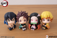 Lookup Demon Slayer Zenitsu Agatsuma (Repeat) 10