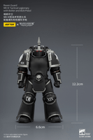 Raven Guard MK III Tactical Legionary with Bolter and Bolt Pistol 22