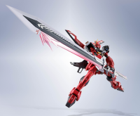 <SIDE MS>SWORD IMPULSE GUNDAM SPECⅡ "GUNDAM", TAMASHII NATIONS METAL ROBOT SPIRITS 12
