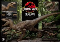 Prime 1 Studio Legacy Museum Collection Jurassic Park (Film) Velociraptor Attack 1/6 scale - Jurassic Park - photo 1
