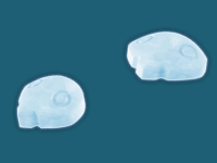 Silicone Tray - 5th Angel & 6th Angel 2