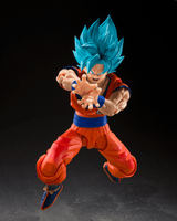 SUPER SAIYAN GOD SUPER SAIYAN SON GOKU 〈BLUE POWER TRANSCENDING LIMITS〉 "DRAGON BALL" 6