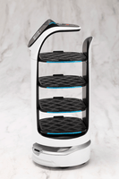 GRANDE SCALE BellaBot 4