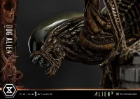 Prime 1 Studio Museum Masterline XL Alien 3 (Film) Dog Alien DX Bonus Version - Alien (Movie Franchise) - photo 45